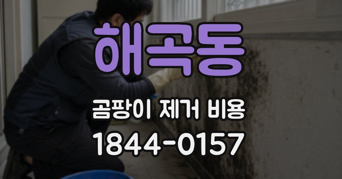 해곡동 곰팡이 제거 비용