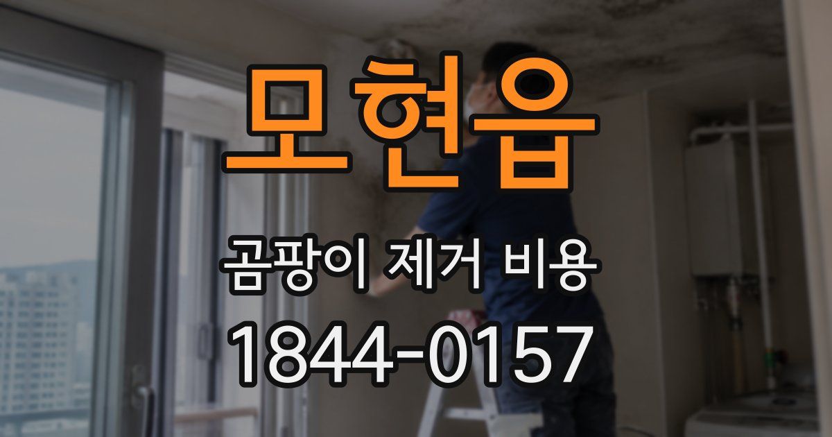 모현읍 곰팡이 제거 비용