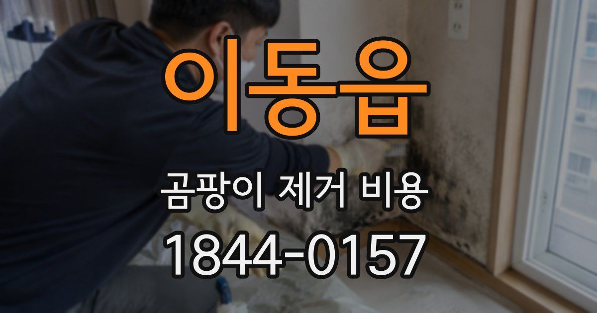 이동읍 곰팡이 제거 비용