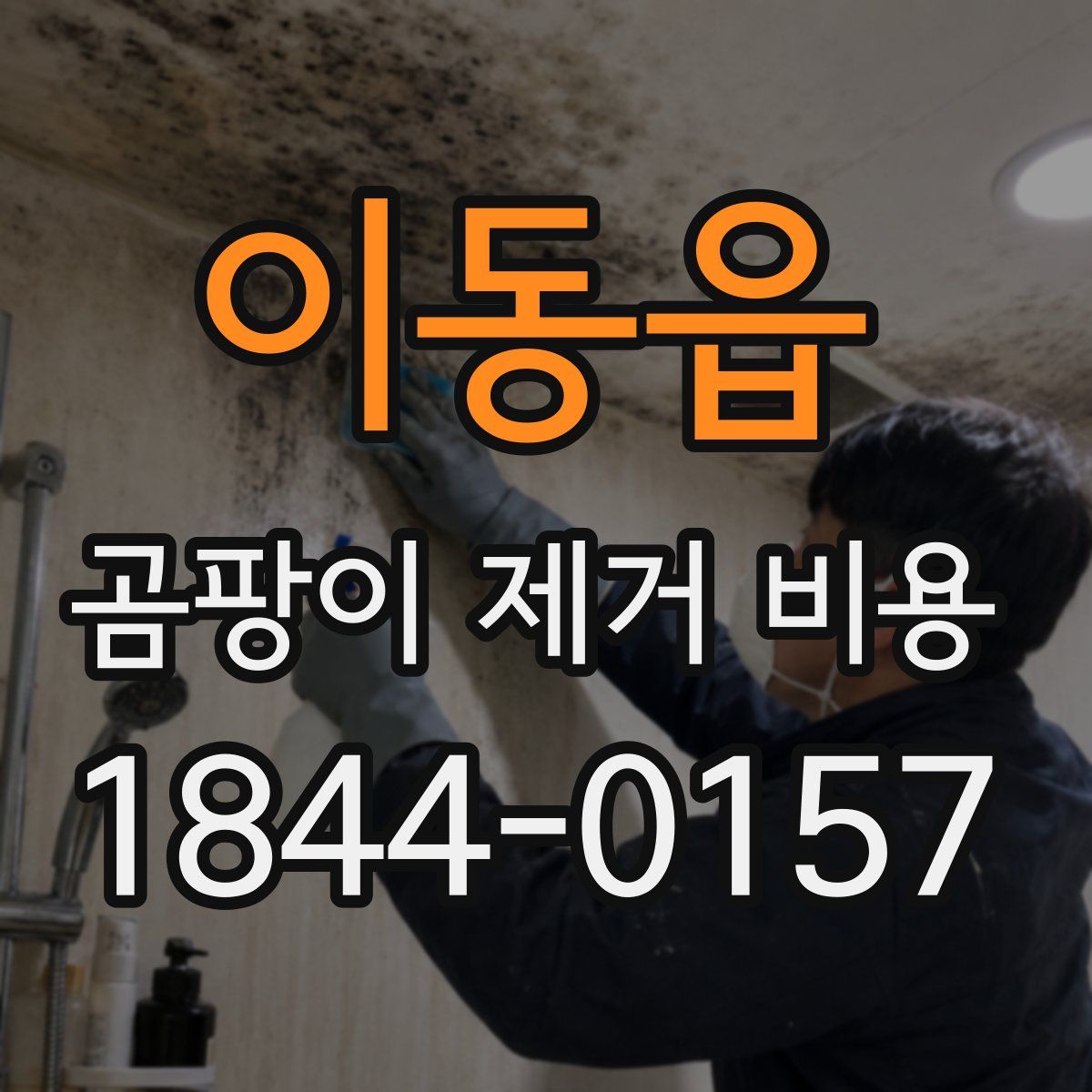 이동읍 곰팡이 제거 비용