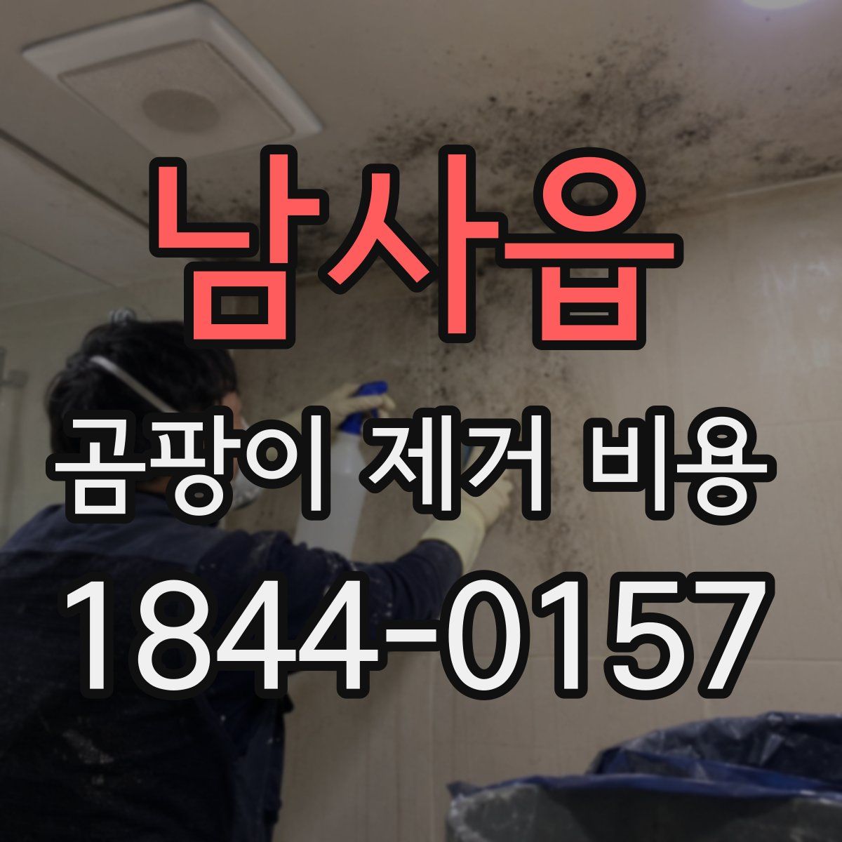 남사읍 곰팡이 제거 비용