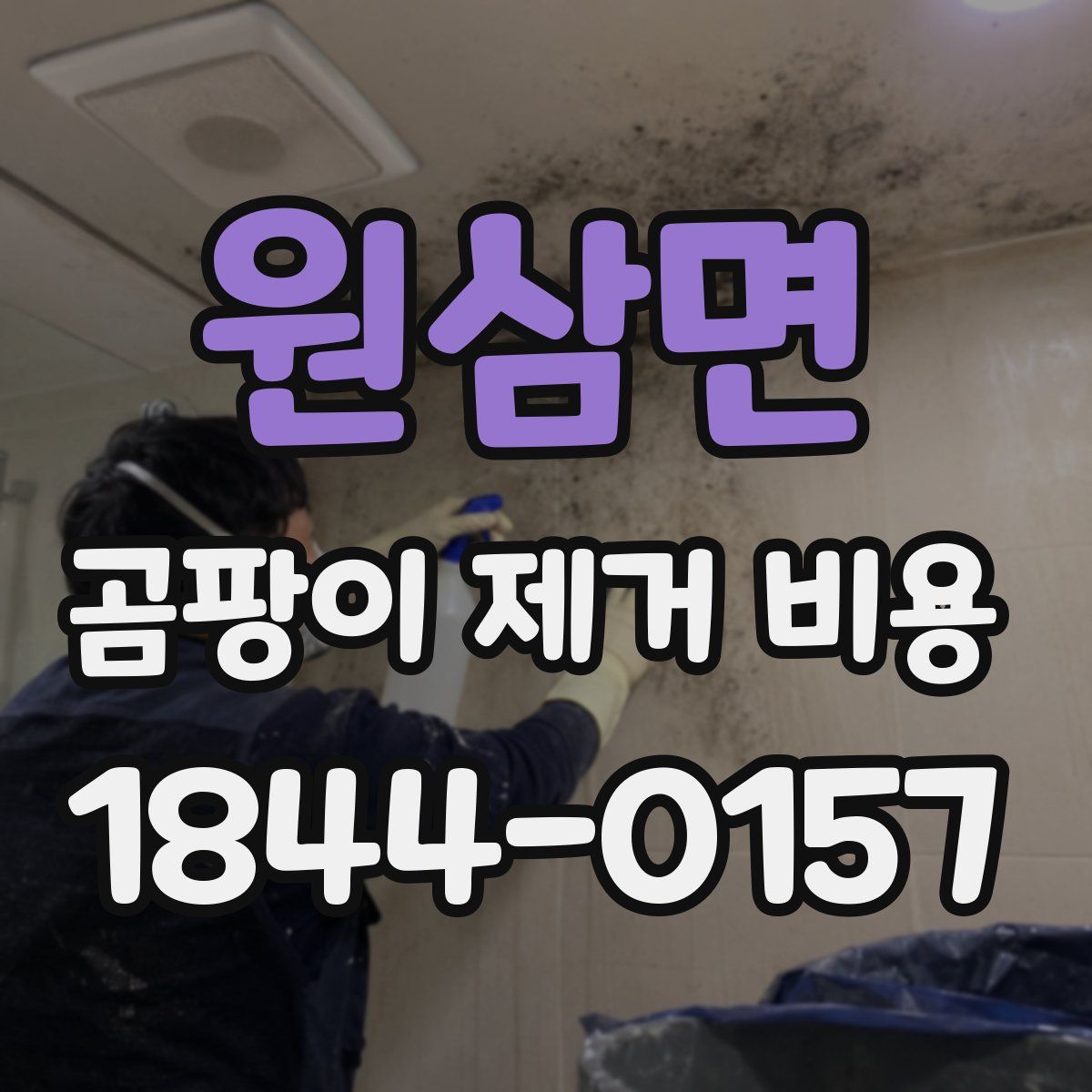 원삼면 곰팡이 제거 비용
