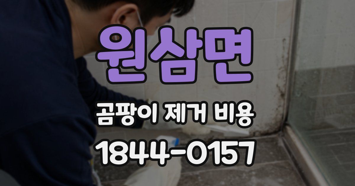 원삼면 곰팡이 제거 비용