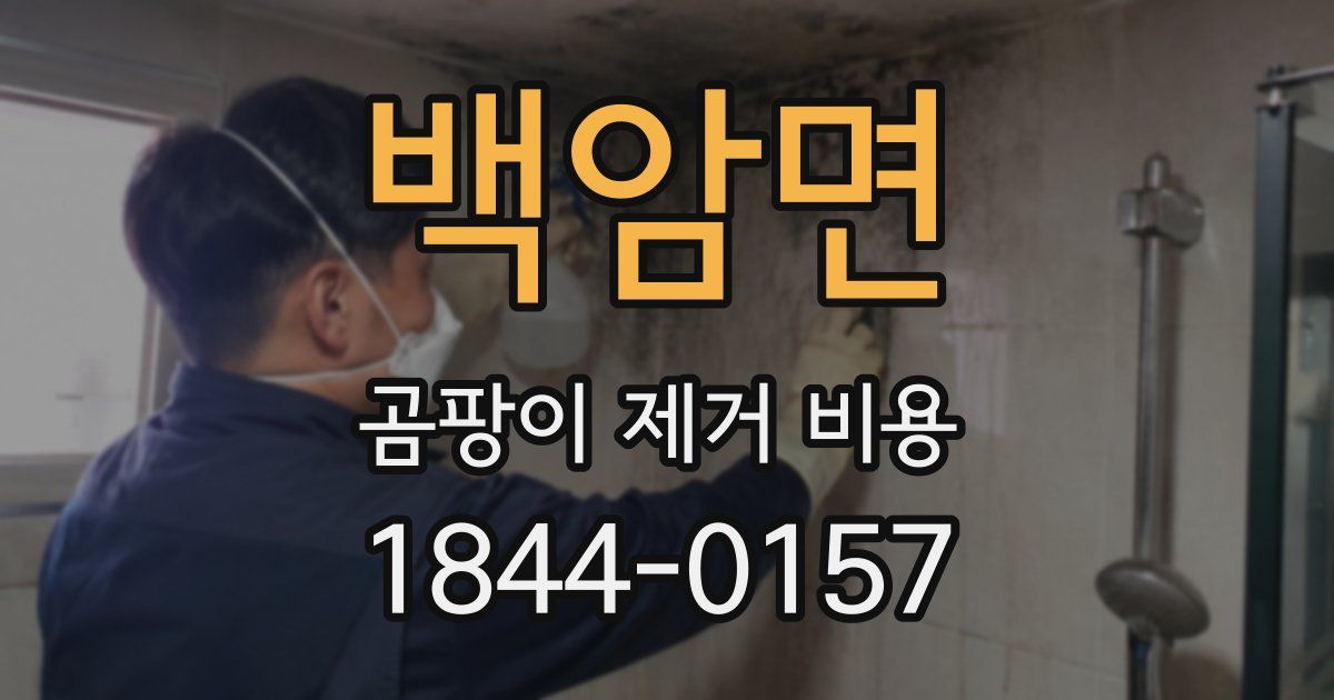 백암면 곰팡이 제거 비용