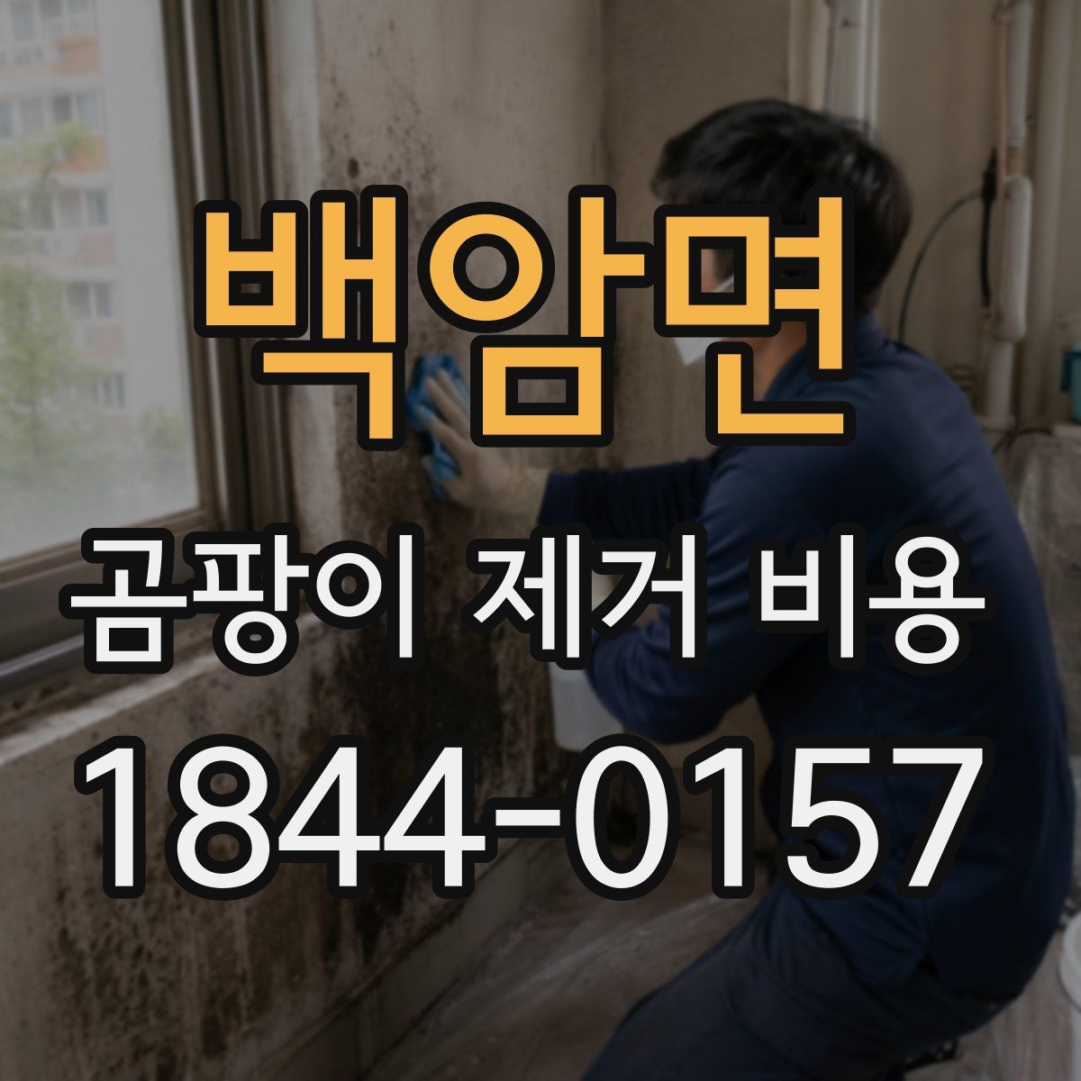 백암면 곰팡이 제거 비용
