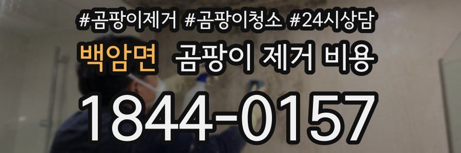 백암면 곰팡이 제거 비용