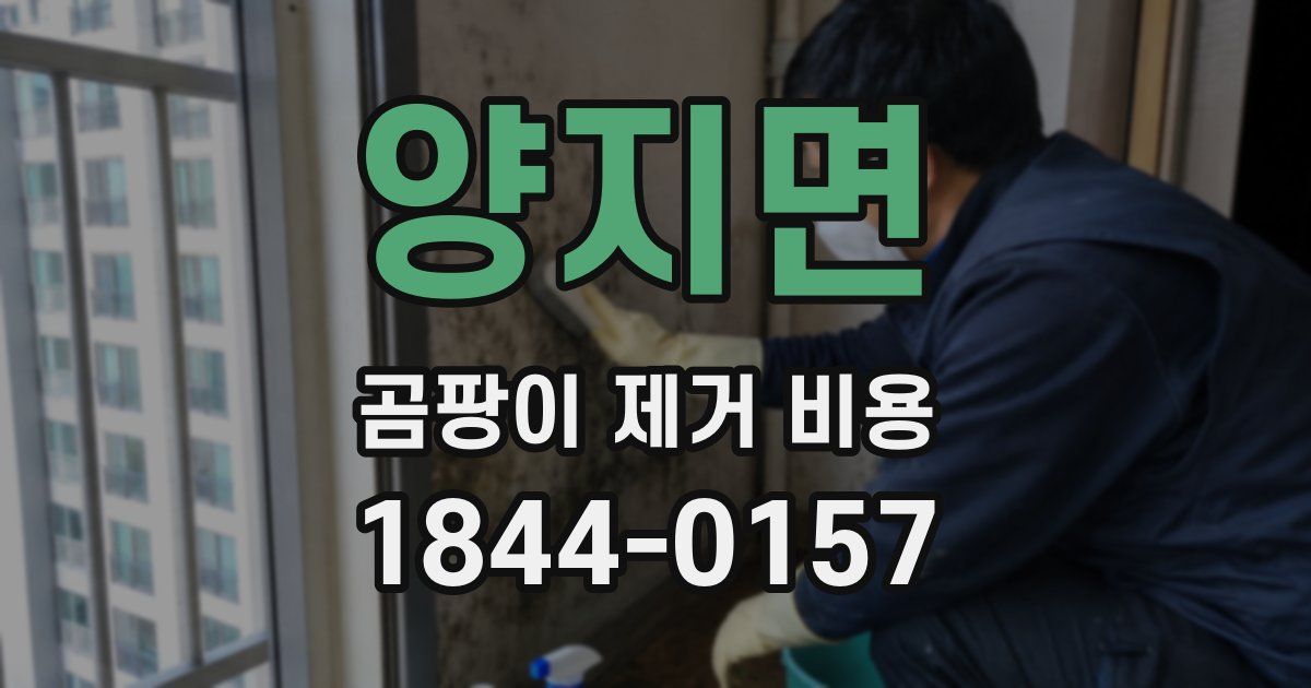 양지면 곰팡이 제거 비용