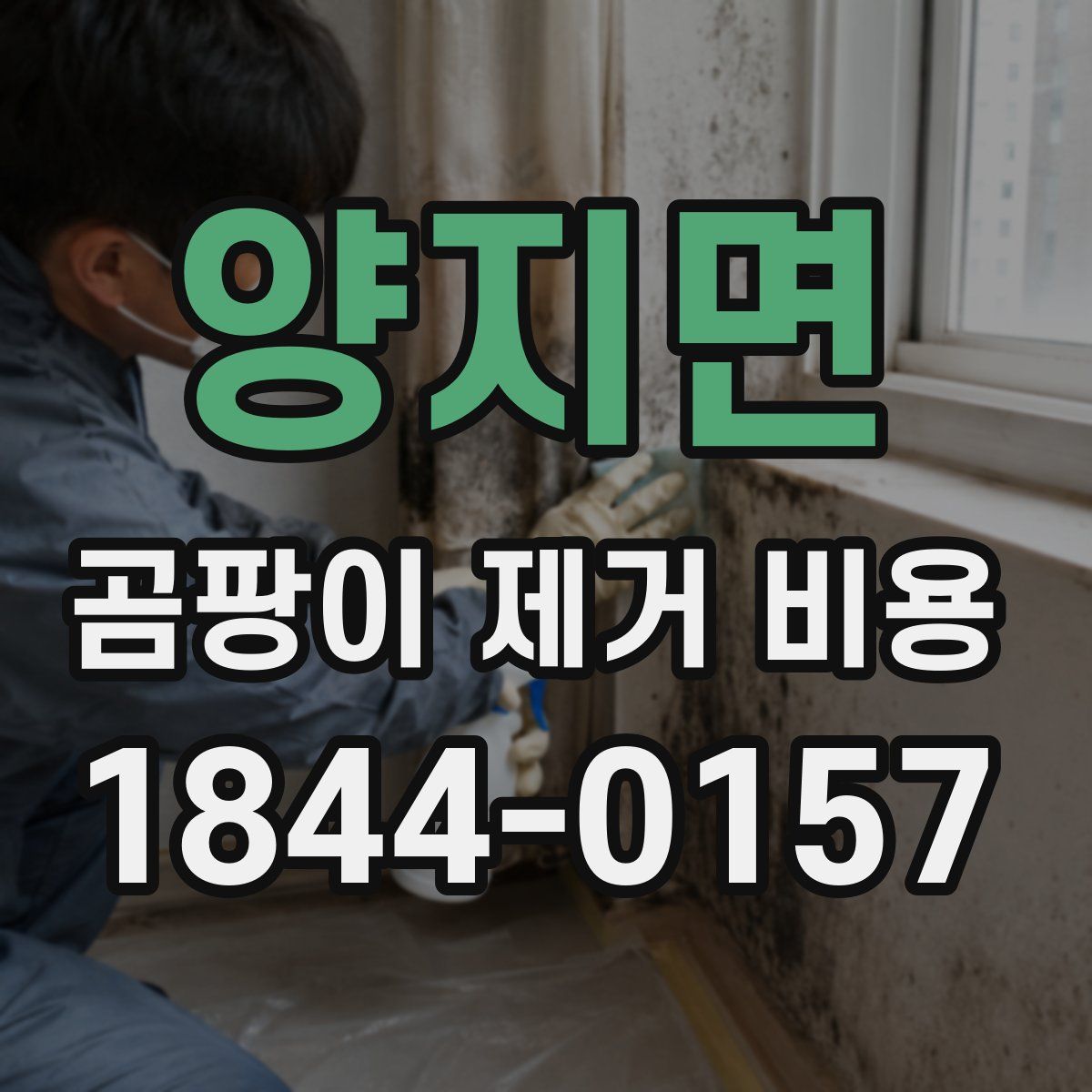양지면 곰팡이 제거 비용