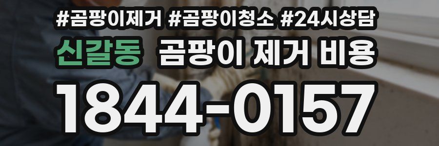 신갈동 곰팡이 제거 비용