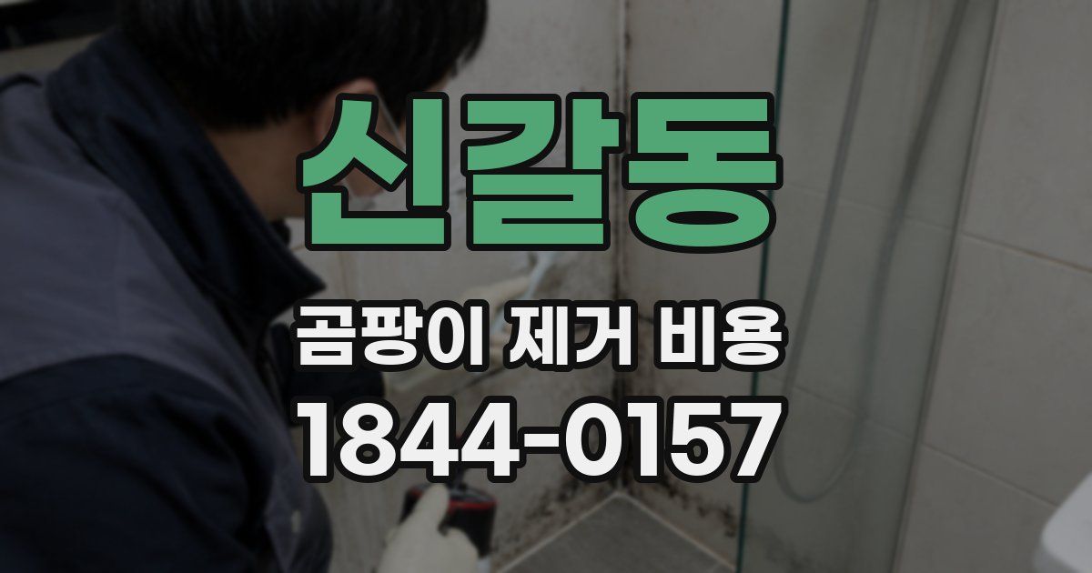 신갈동 곰팡이 제거 비용