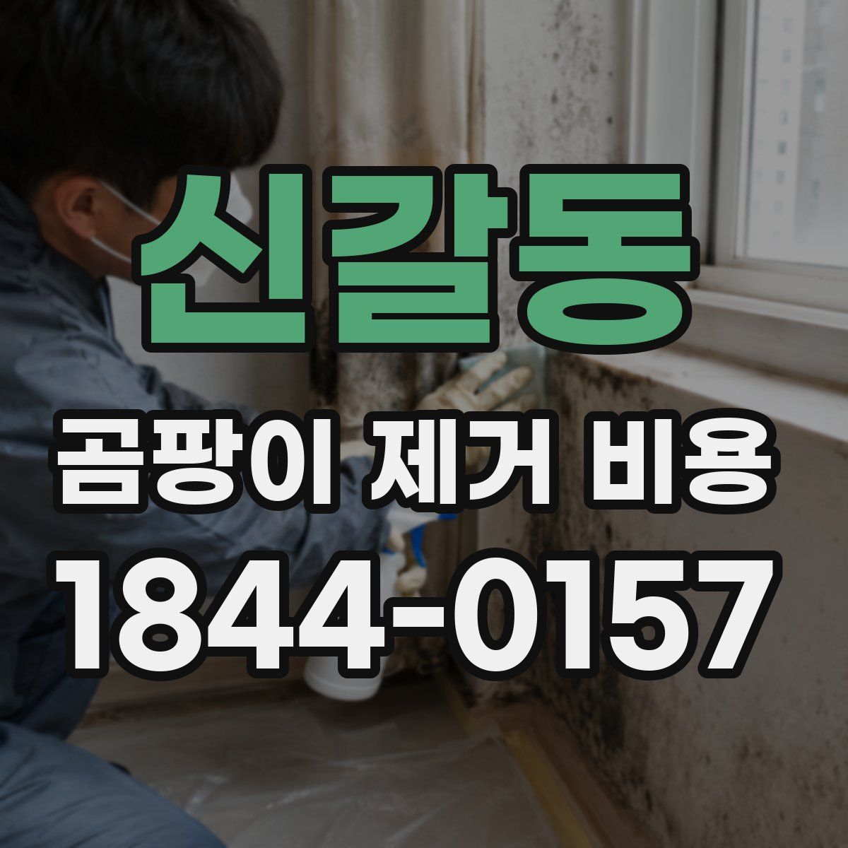 신갈동 곰팡이 제거 비용