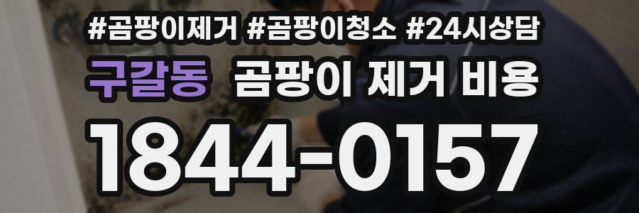 구갈동 곰팡이 제거 비용