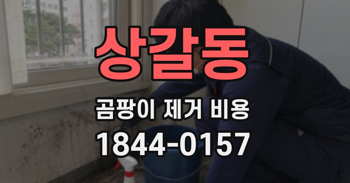 상갈동 곰팡이 제거 비용