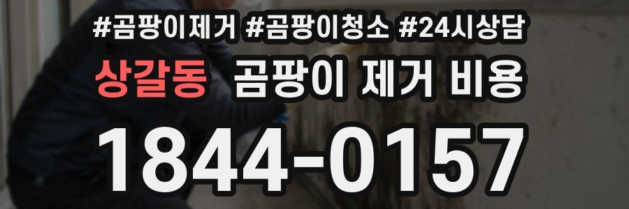 상갈동 곰팡이 제거 비용