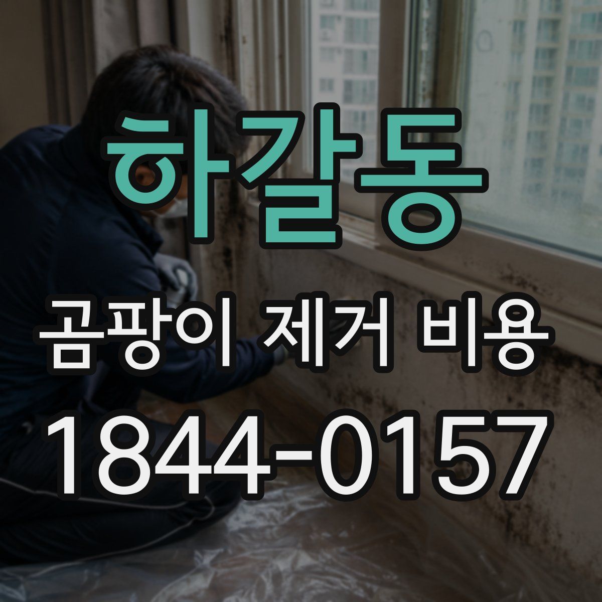 하갈동 곰팡이 제거 비용