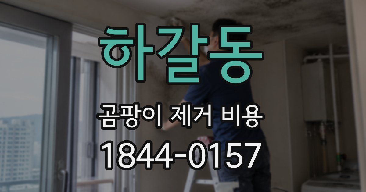 하갈동 곰팡이 제거 비용