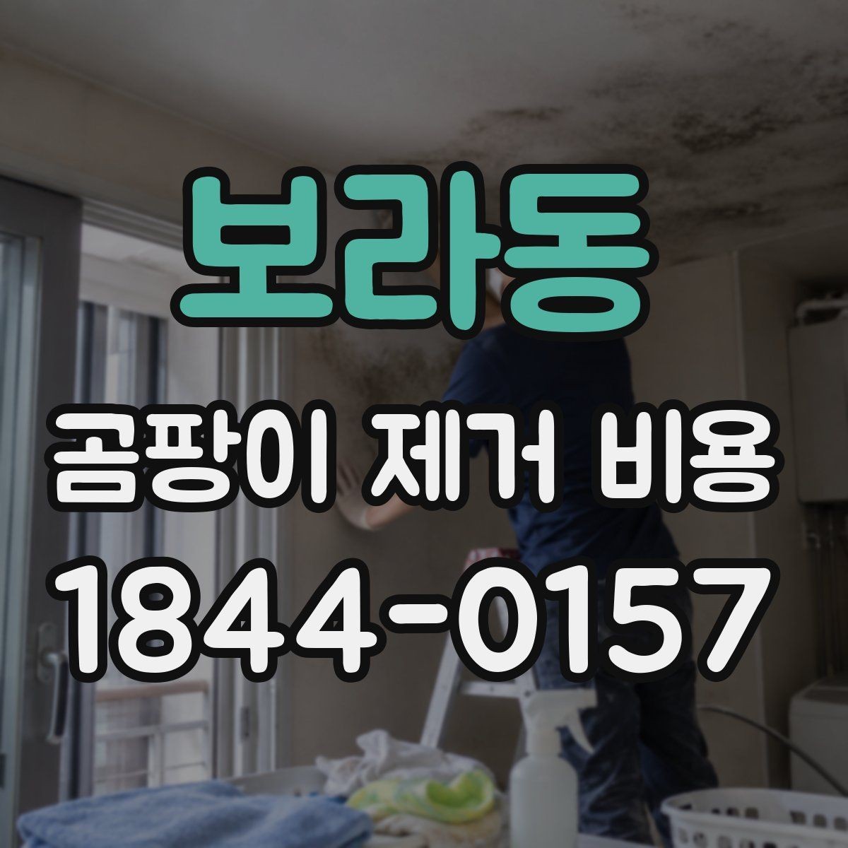 보라동 곰팡이 제거 비용 곰팡이 제거 후 복구 공사까지 필요한 상황