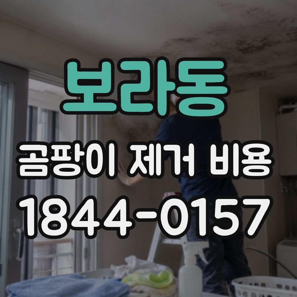 보라동 곰팡이 제거 비용