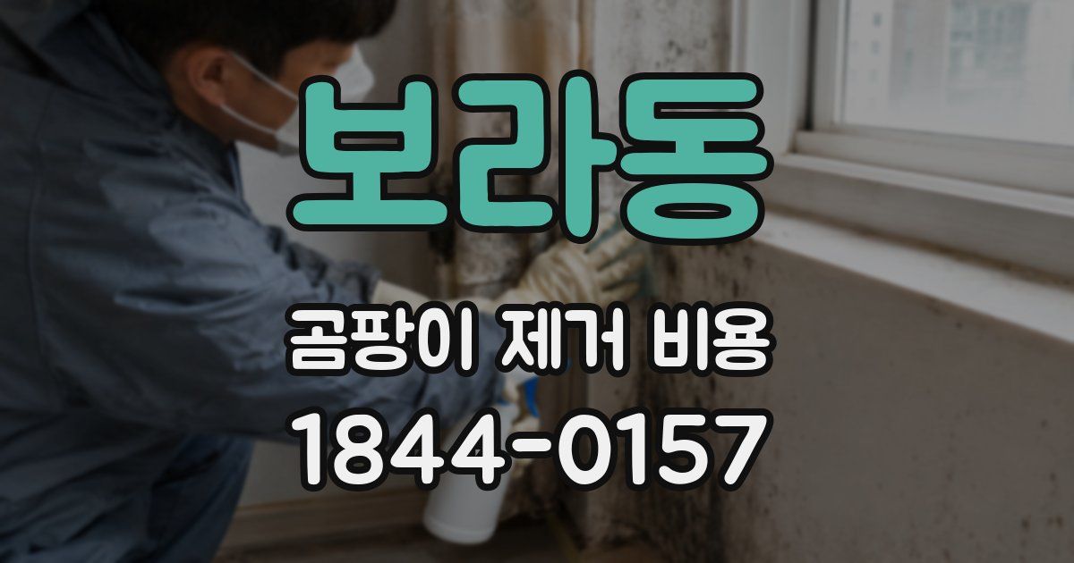 보라동 곰팡이 제거 비용