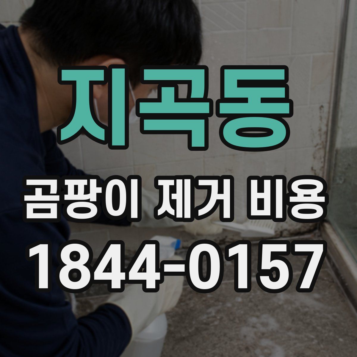 지곡동 곰팡이 제거 비용