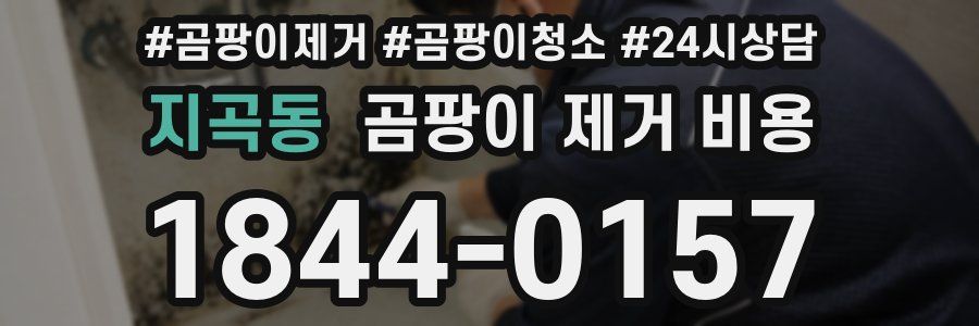 지곡동 곰팡이 제거 비용
