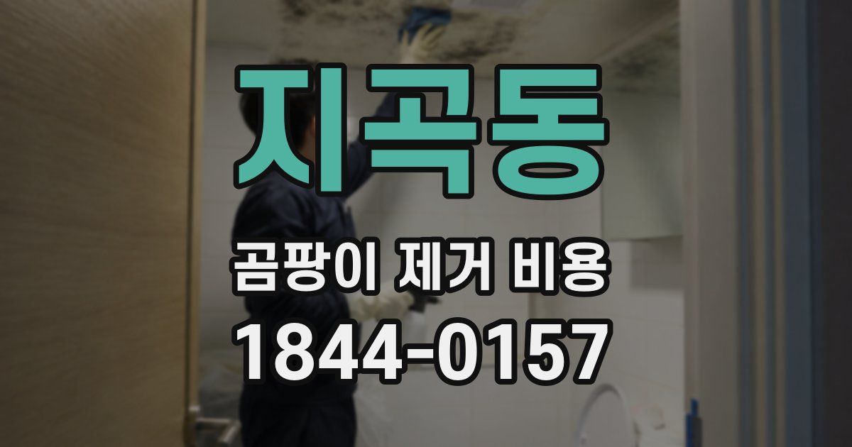 지곡동 곰팡이 제거 비용