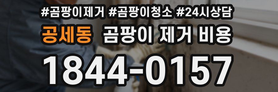 공세동 곰팡이 제거 비용
