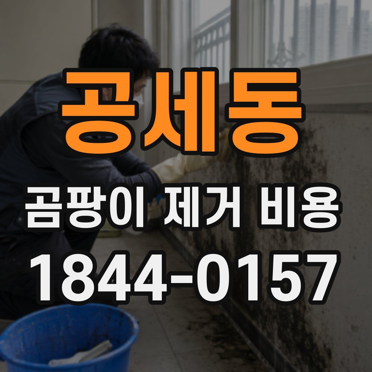 공세동 곰팡이 제거 비용
