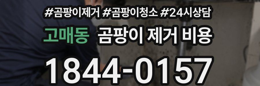 고매동 곰팡이 제거 비용