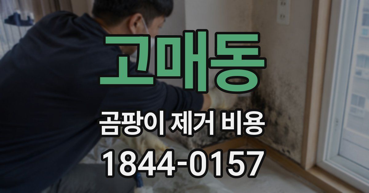고매동 곰팡이 제거 비용