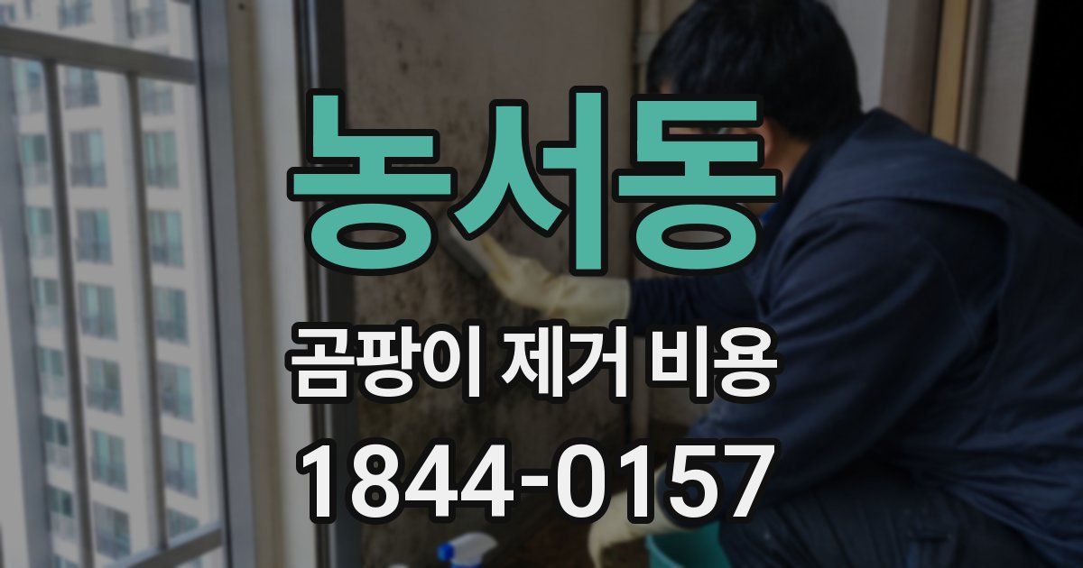 농서동 곰팡이 제거 비용