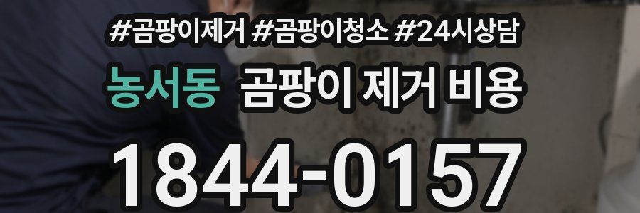 농서동 곰팡이 제거 비용