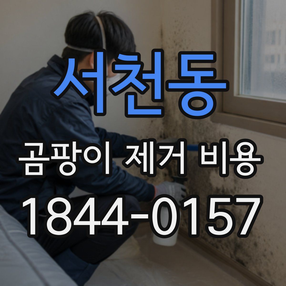 서천동 곰팡이 제거 비용