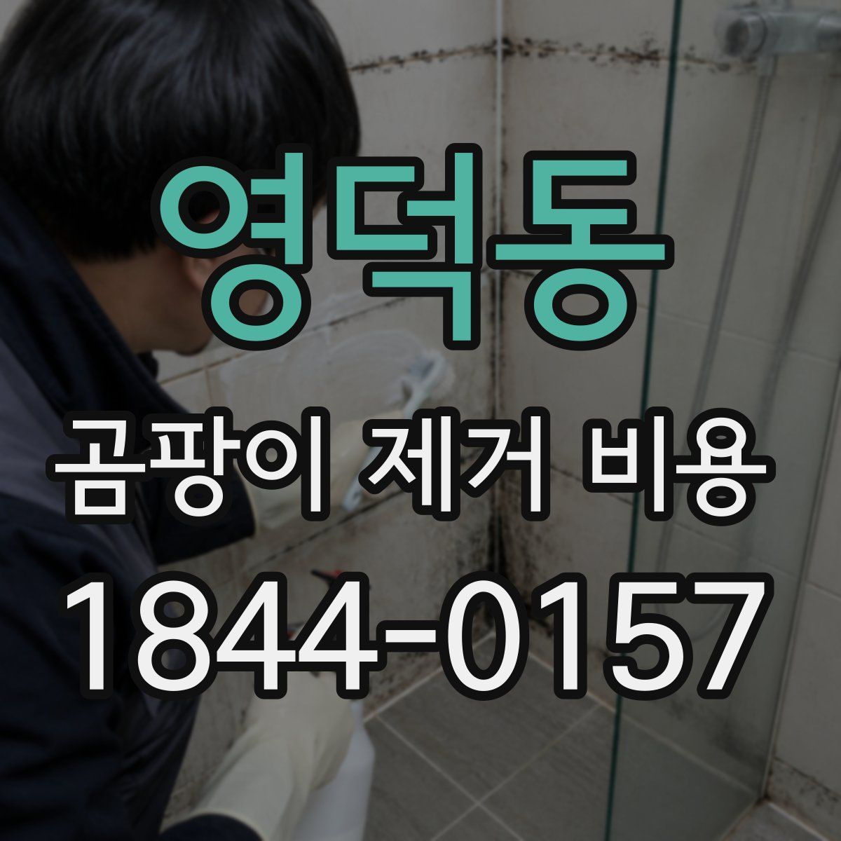 영덕동 곰팡이 제거 비용