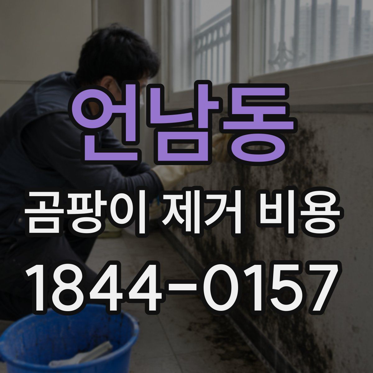 언남동 곰팡이 제거 비용