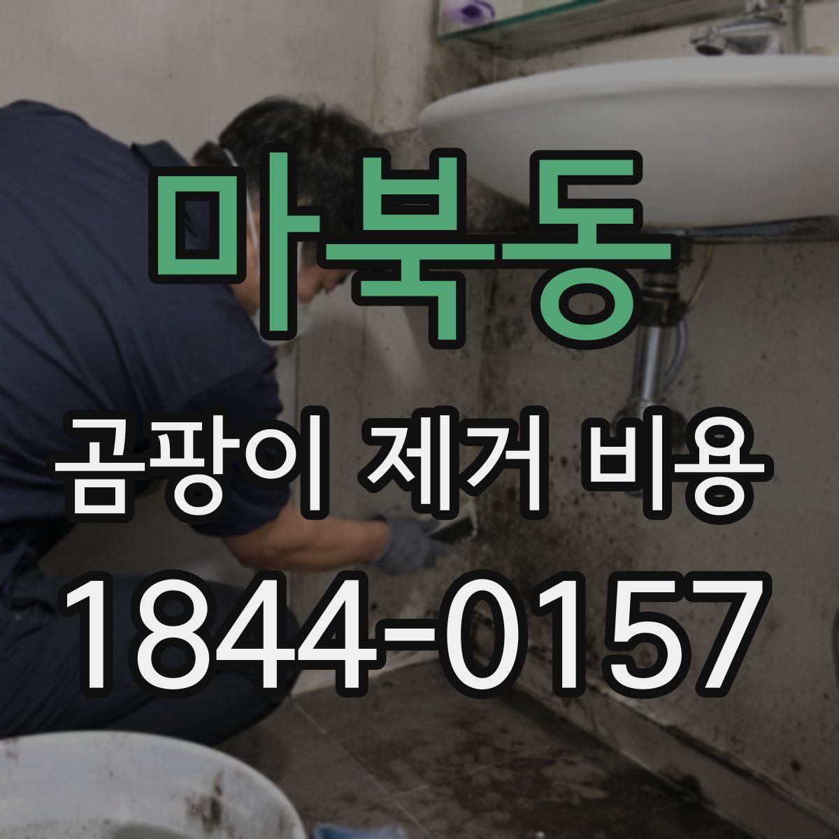 마북동 곰팡이 제거 비용