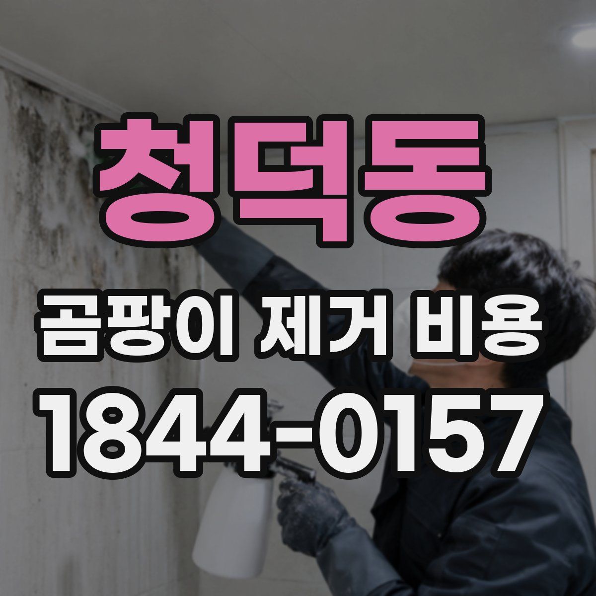 청덕동 곰팡이 제거 비용