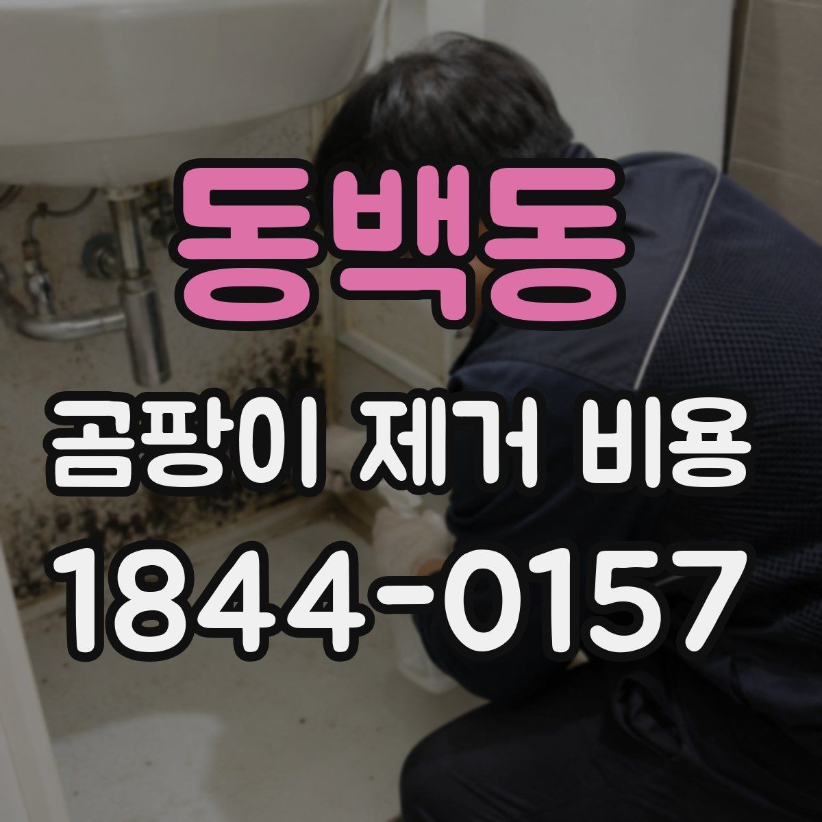 동백동 곰팡이 제거 비용 해체 후 원상복구까지 포함되는 기준