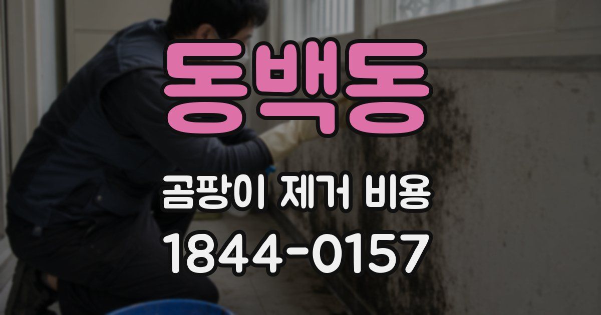 동백동 곰팡이 제거 비용