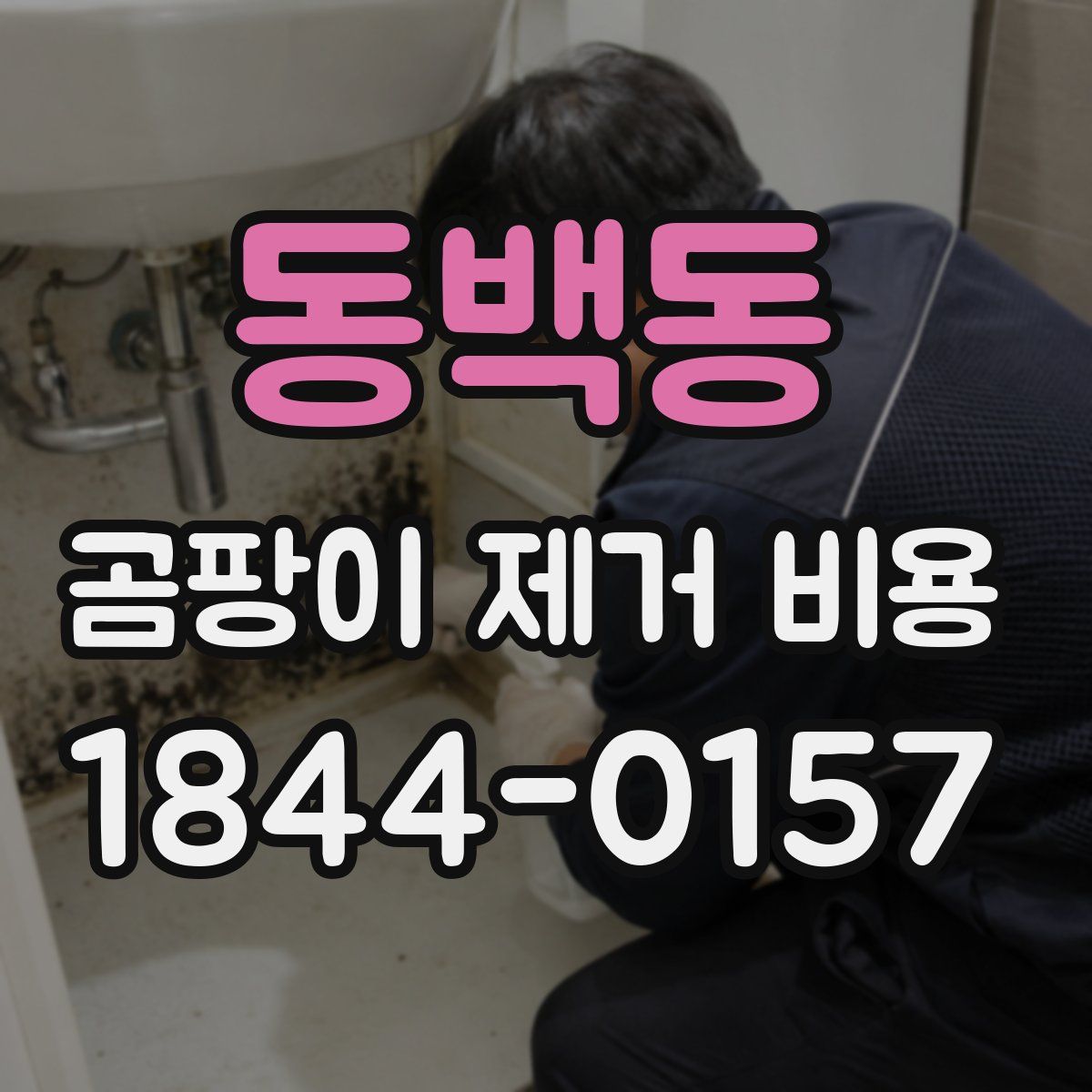 동백동 곰팡이 제거 비용