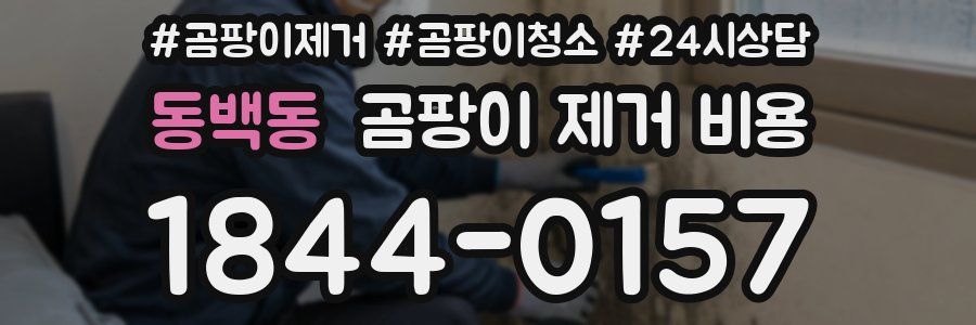 동백동 곰팡이 제거 비용