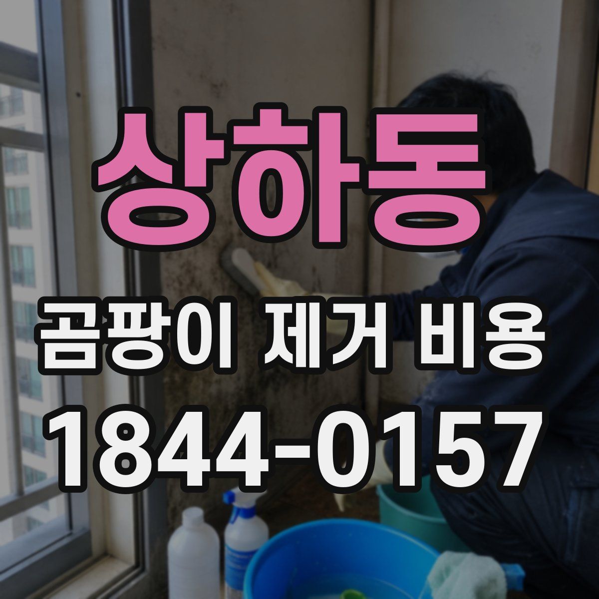상하동 곰팡이 제거 비용