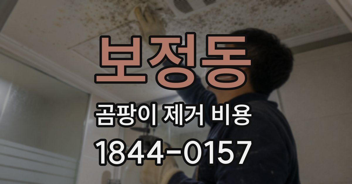 보정동 곰팡이 제거 비용