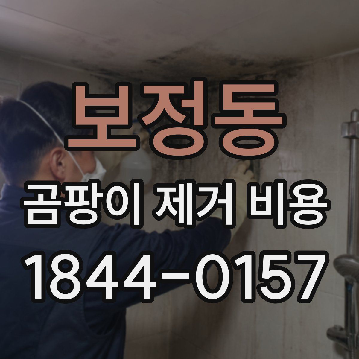 보정동 곰팡이 제거 비용