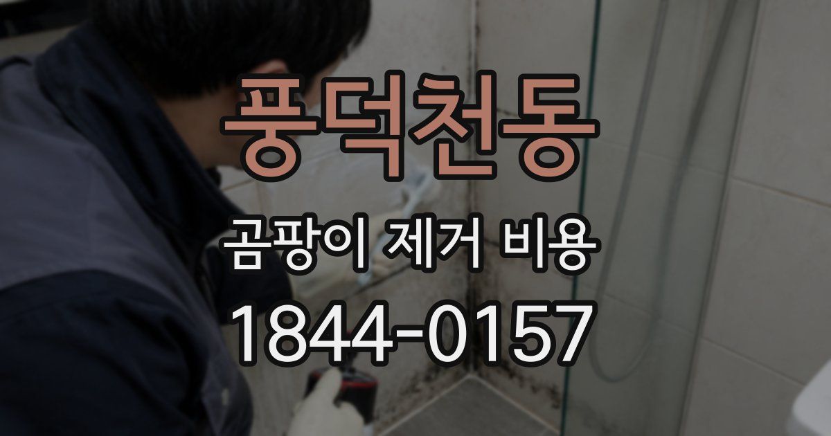 풍덕천동 곰팡이 제거 비용