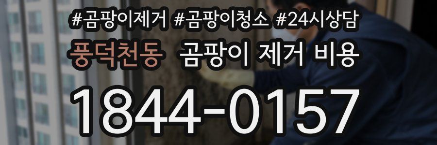 풍덕천동 곰팡이 제거 비용