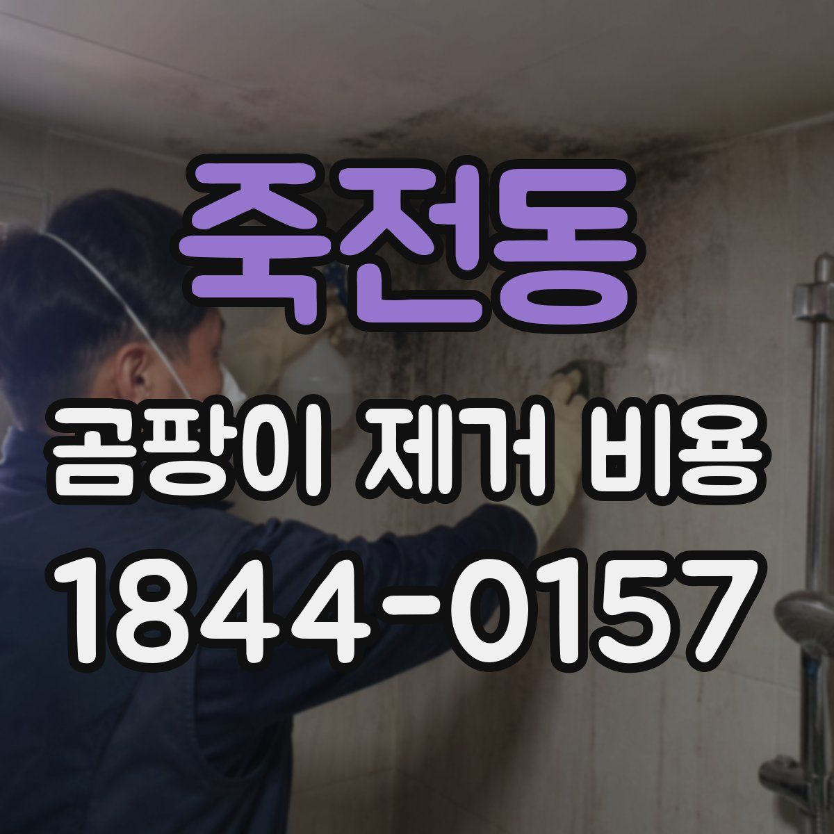 죽전동 곰팡이 제거 비용
