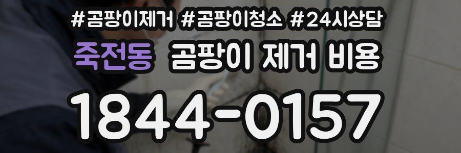 죽전동 곰팡이 제거 비용