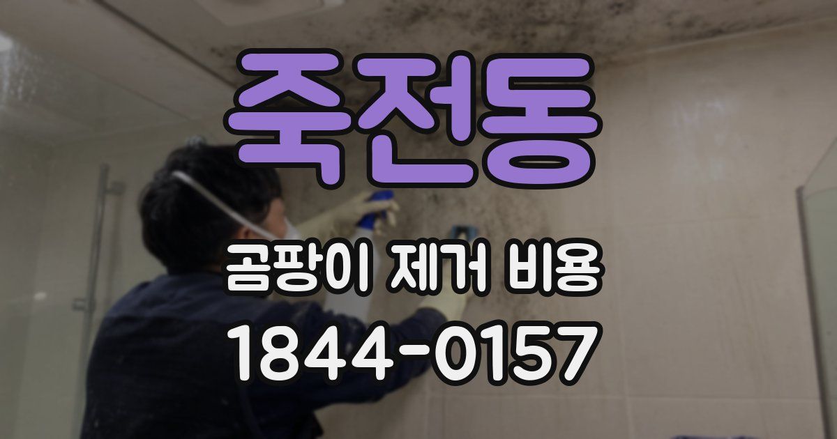 죽전동 곰팡이 제거 비용