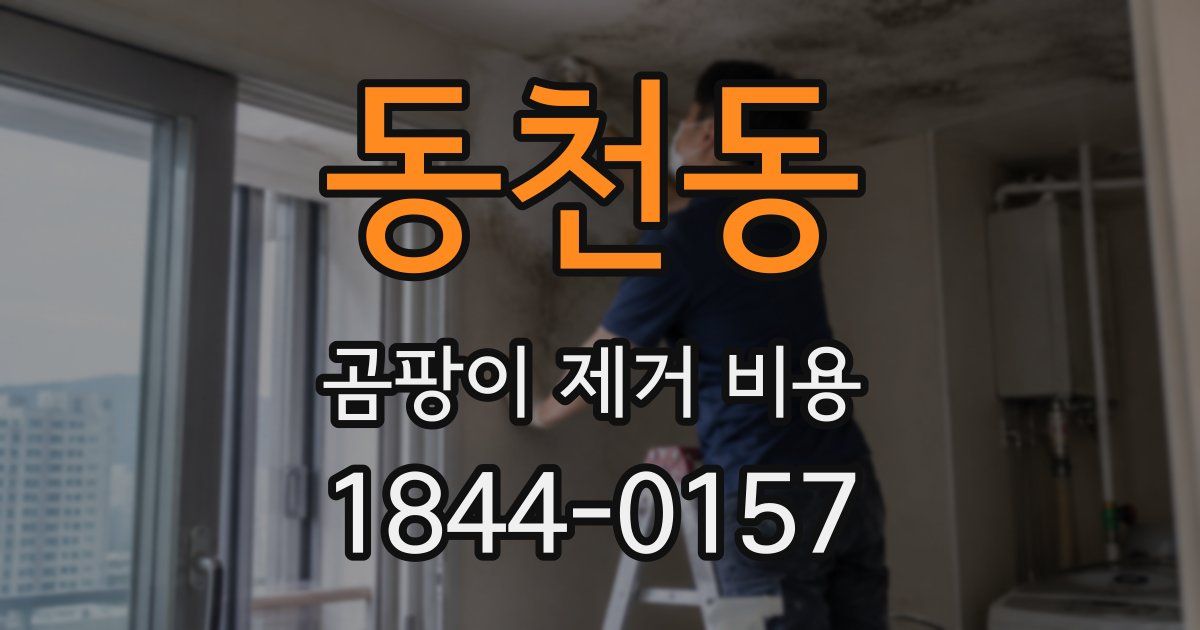 동천동 곰팡이 제거 비용